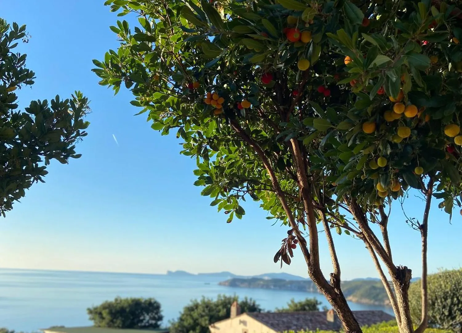 Pedramare Suite Alghero Hotel